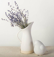 Modern white pitcher